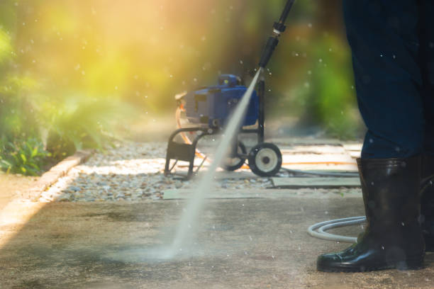Best Roof Washing  in Danville, CA